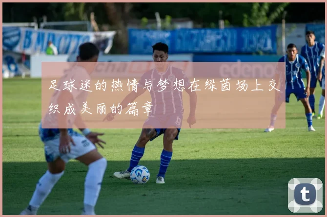 足球迷的热情与梦想在绿茵场上交织成美丽的篇章