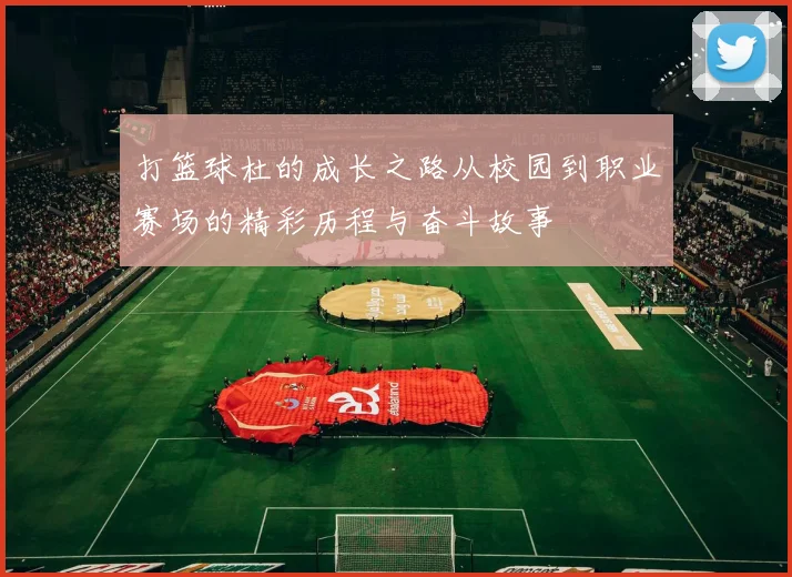 打篮球杜的成长之路从校园到职业赛场的精彩历程与奋斗故事