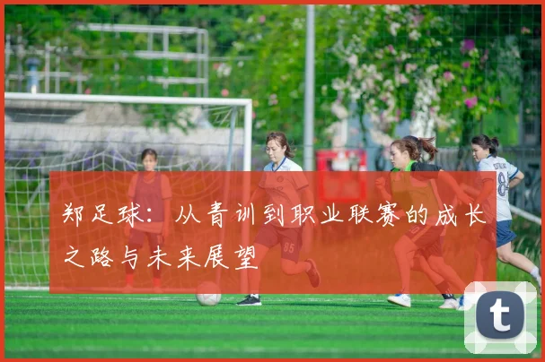 郑足球：从青训到职业联赛的成长之路与未来展望