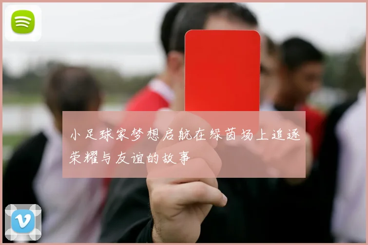 小足球家梦想启航在绿茵场上追逐荣耀与友谊的故事